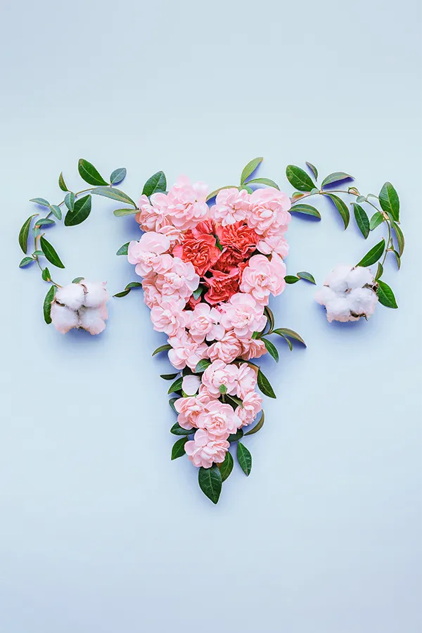 preventative-gynecological-care